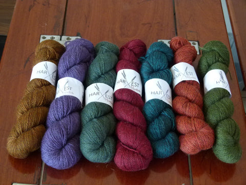 Harvest Hues 100g